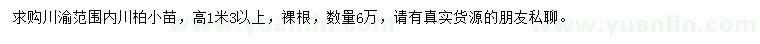 求購(gòu)高1.3米以上川柏