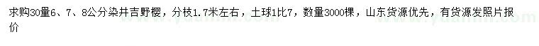 求購30公分量6、7、8公分染井吉野櫻