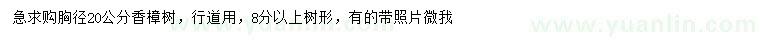 求購胸徑20公分香樟