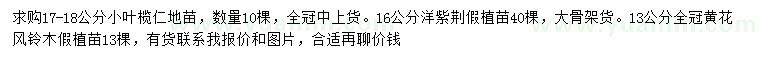 求購小葉欖仁、洋紫荊、黃花風(fēng)鈴木