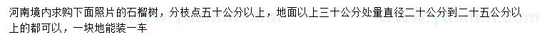 求購地面30公分量直徑20-25公分以上石榴