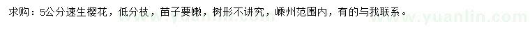求購(gòu)5公分速生櫻花
