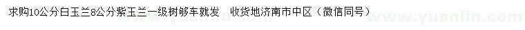 求購10公分白玉蘭、8公分紫玉蘭