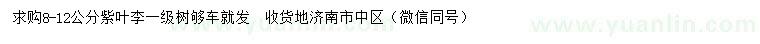 求購8-12公分紫葉李