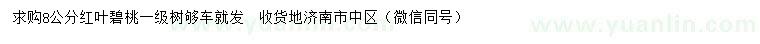 求購8公分紅葉碧桃
