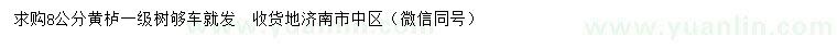 求購(gòu)8公分黃櫨