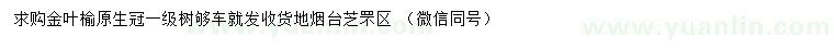 求購金葉榆
