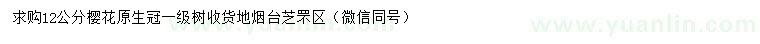 求購12公分櫻花