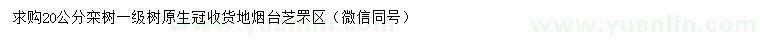 求購20公分欒樹