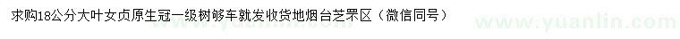 求購18公分大葉女貞