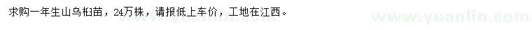 求購一年生山烏桕苗