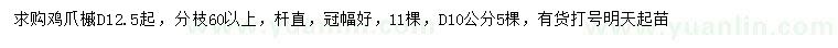 求購(gòu)地徑10、12.5公分起雞爪槭