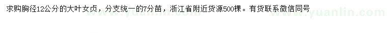 求購胸徑12公分大葉女貞