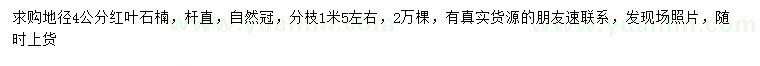 求購地徑4公分紅葉石楠