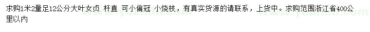 求購1.2米量足12公分大葉女貞