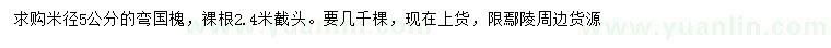 求購米徑5公分國槐