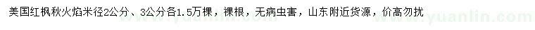求購(gòu)米徑2、3公分美國(guó)紅楓秋火焰