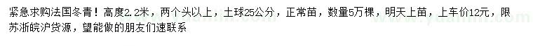 求購(gòu)高2.2米法國(guó)冬青