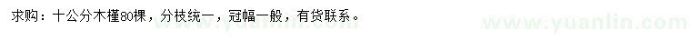 求購10公分木槿