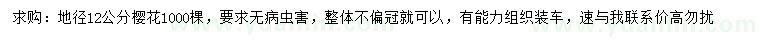 求購地徑12公分櫻花
