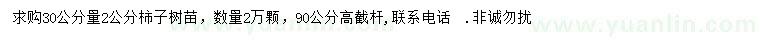 求購30公分量2公分柿子樹