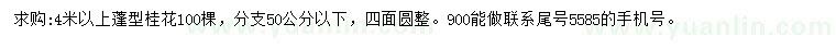 求購蓬型4米以上桂花