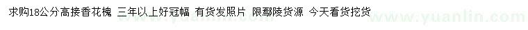 求購(gòu)18公分高接香花槐