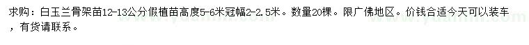 求購12-13公分白玉蘭