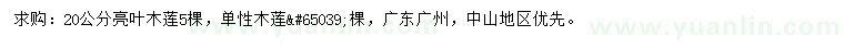 求購20公分亮葉木蓮、單性木蓮