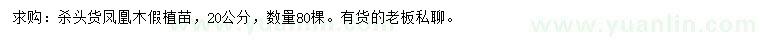 求購20公分鳳凰木假植苗