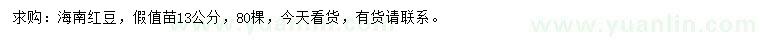 求購13公分海南紅豆假值苗