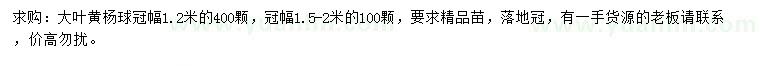 求購冠幅1.2、1.5-2米大葉黃楊