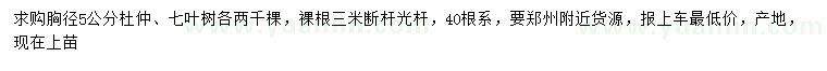 求購(gòu)胸徑5公分杜仲、七葉樹(shù)