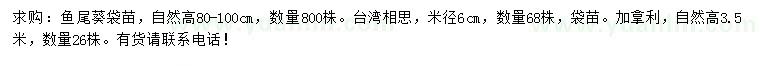 求購魚尾葵、臺灣相思、加拿利