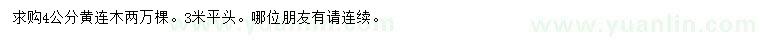 求購4公分黃連木
