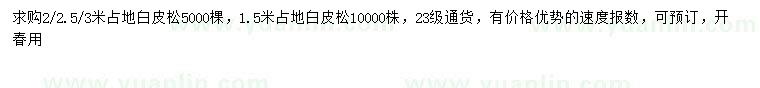 求購1.5、2、2.5、3米占地白皮松