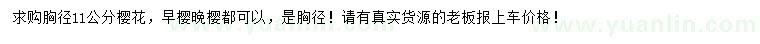 求購胸徑11公分櫻花