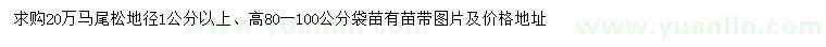 求購高80-100公分馬尾松