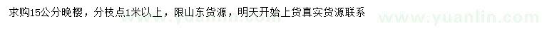 求購15公分晚櫻