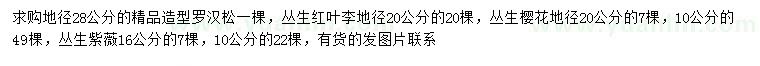 求購羅漢松、叢生紅葉李、叢生櫻花等