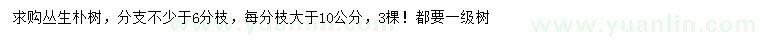 求購胸徑22公分叢生樸樹
