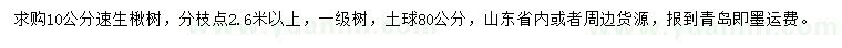 求購(gòu)10公分速生楸樹(shù)