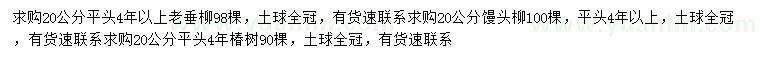 求購(gòu)老垂柳、饅頭柳、椿樹