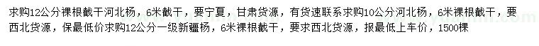 求購10、12公分河北楊、12公分新疆楊