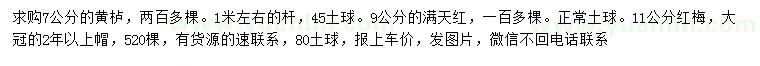 求購黃櫨、滿天紅、紅梅