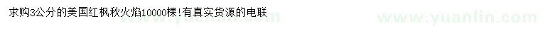 求購3公分美國紅楓秋火焰