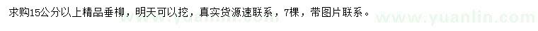 求購15公分以上精品垂柳