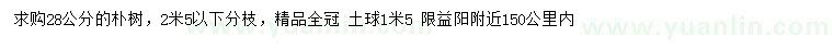 求購28公分樸樹