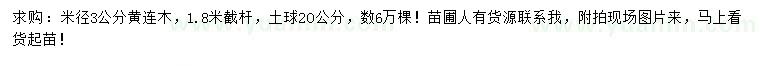 求購米徑3公分黃連木