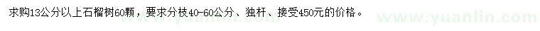 求購13公分以上石榴